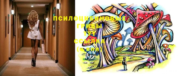 гидра Алексеевка