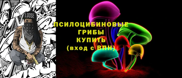 тгк Алексин